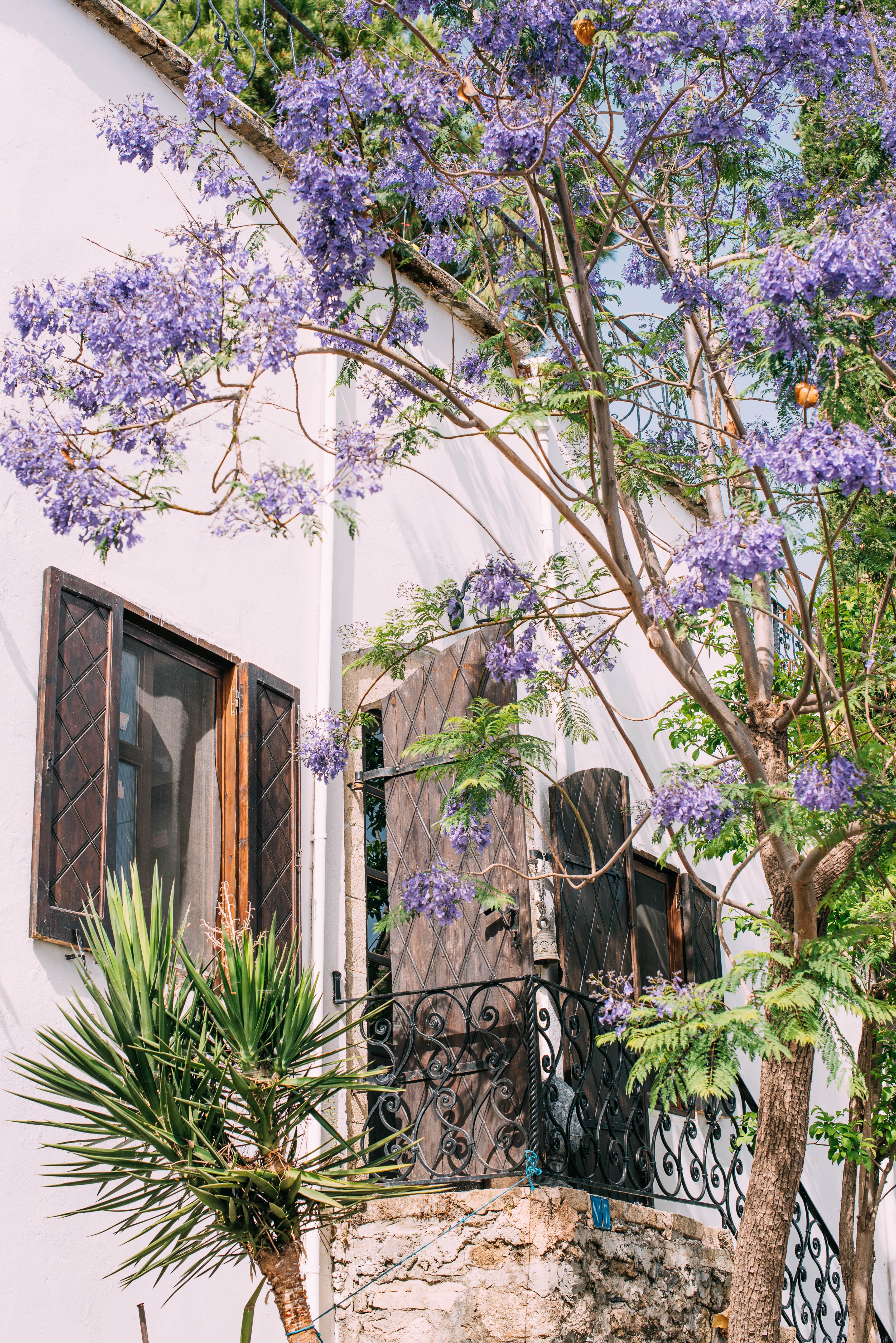 Kıbrıs Developments Kıbrıs Developments