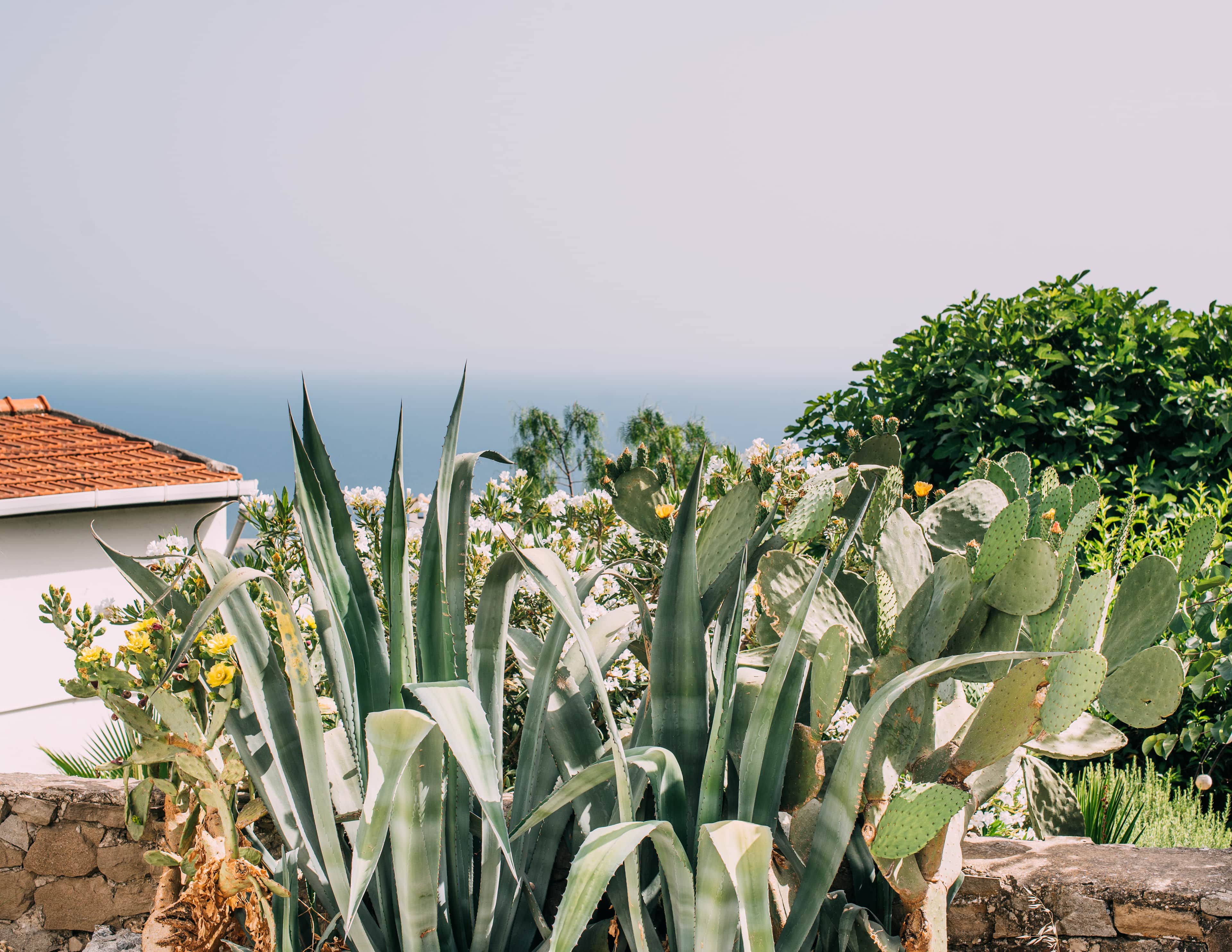 about-us banner about-us banner