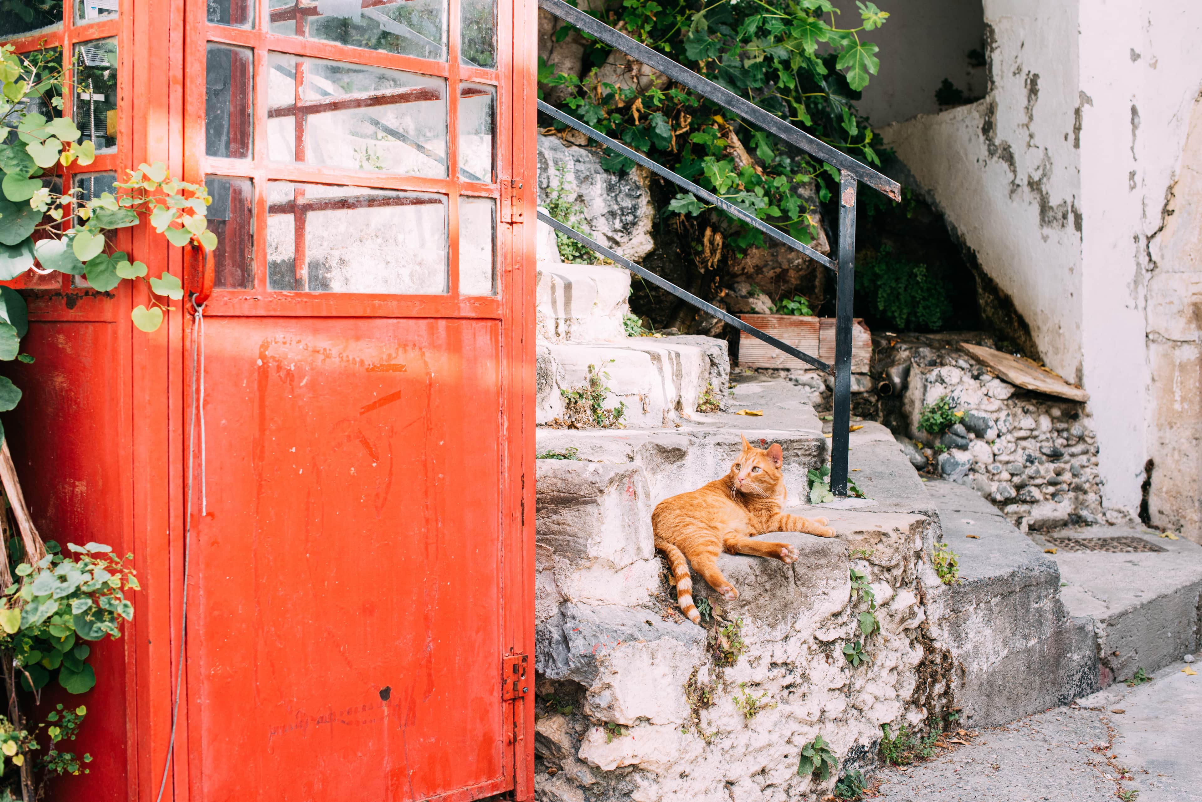 Kıbrıs Developments Kıbrıs Developments